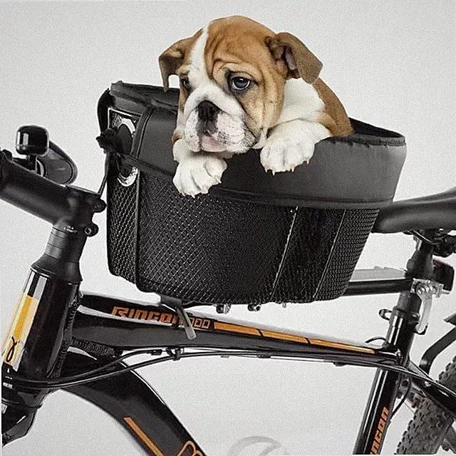 Pet Bike Basket with Adjustable Safety Strap for Up to 15lbs Small Dogs Cats